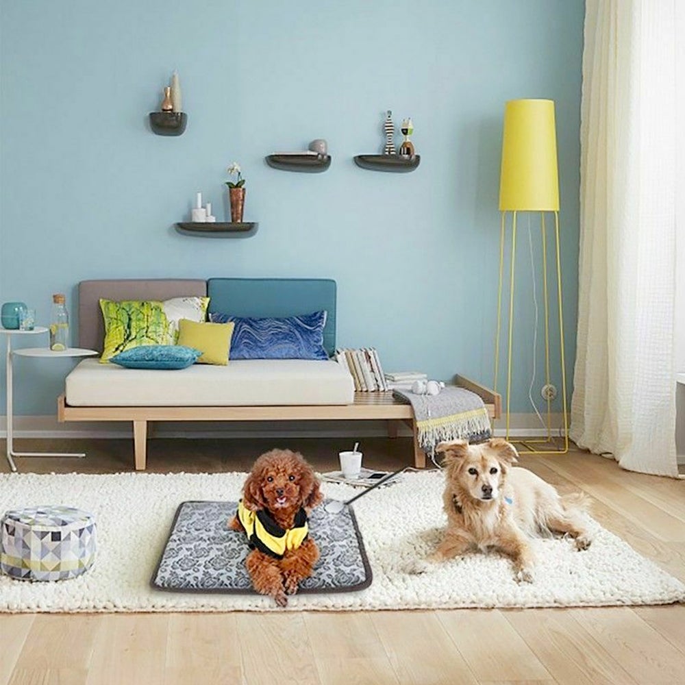 "Ultra-Soft Pet Bed - Lushify")