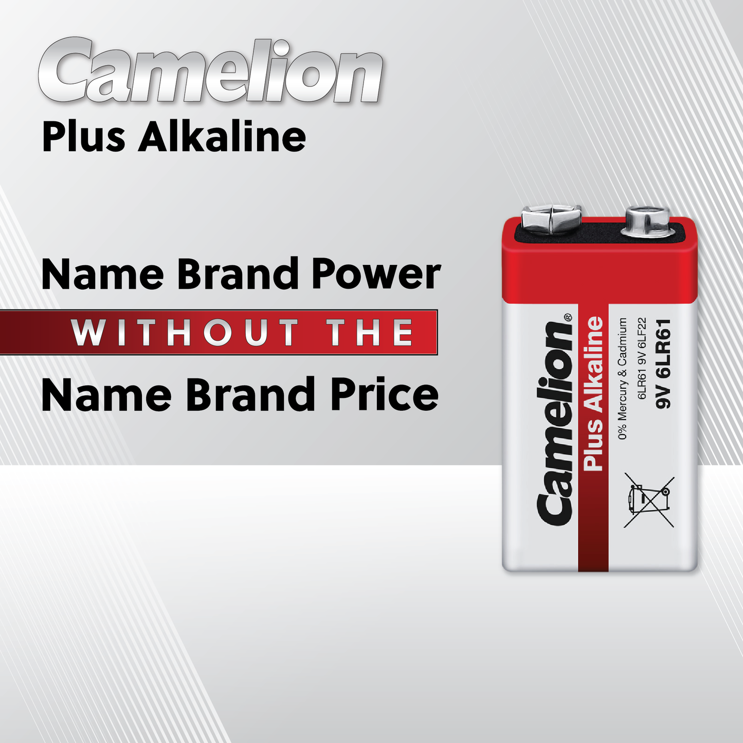 Camelion AA Plus Alkaline 24 Pack Plastic Tub